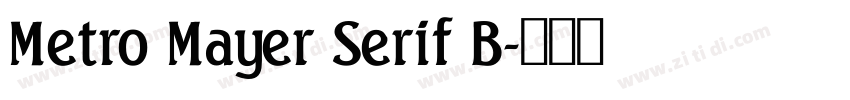 Metro Mayer Serif B字体转换